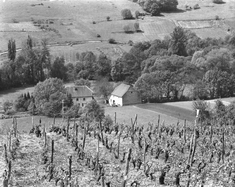 Vue générale.