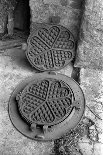 Gaufrier à 5 cours adaptable sur cuisinière.