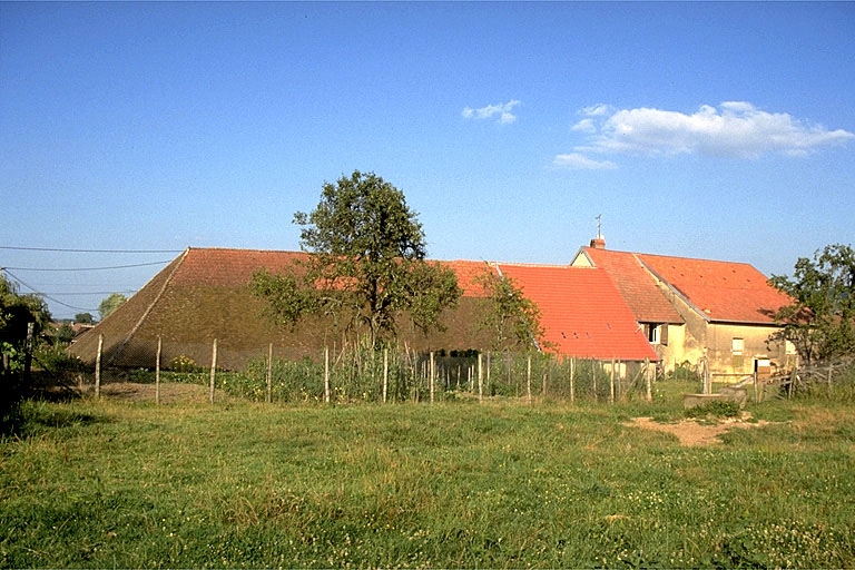 Tuilerie, Vitreux.