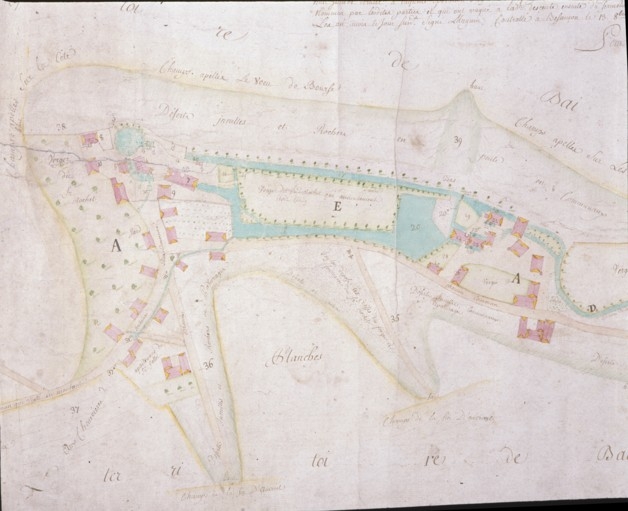 Plan géométrique des territoires de Baignes, Velle-le-Chatel, Boussières [détail de la partie gauche].