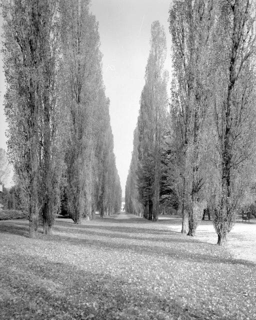 Parc et allée menant du restaurant d'entreprise aux Grands Bureaux.