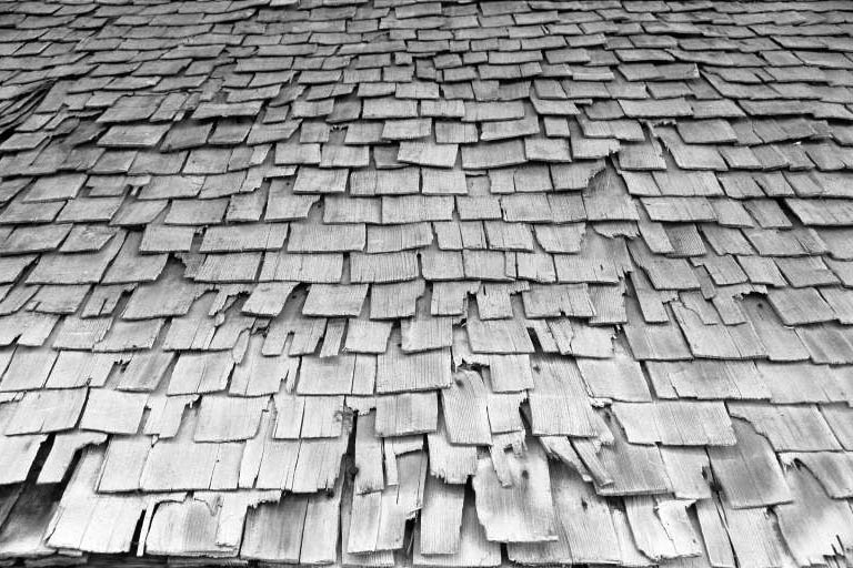 Détail de l'essentage de la façade antérieure.