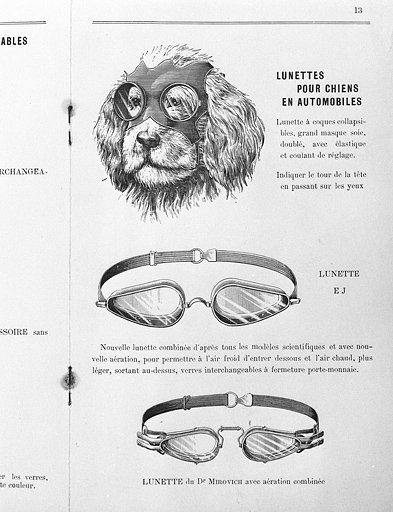 Lunettes pour chiens en automobiles et lunettes combinées [de la société Jeantet], début 20e siècle.