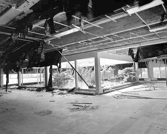 Intérieur de la cantine et jardin suspendu.