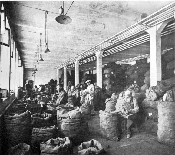 Selection of briar blocks (Ebauchons) [choix des ébauchons dans les années 1920].