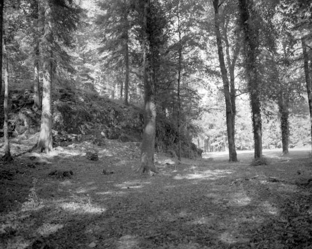 Partie est de l'ancien jardin d'agrément.