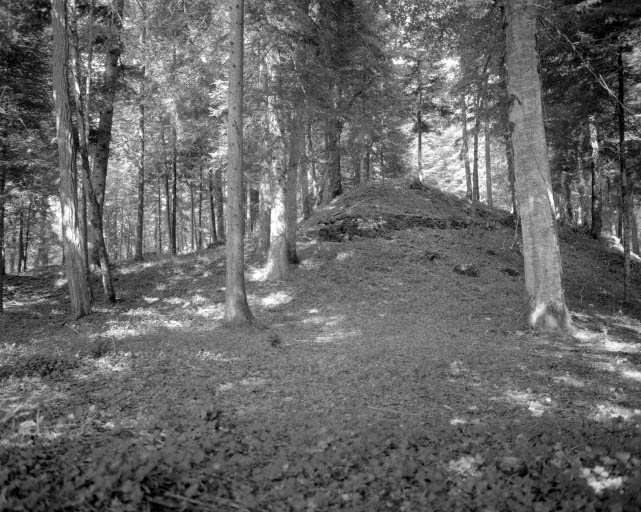 Extrémité sud de l'ancien jardin d'agrément.