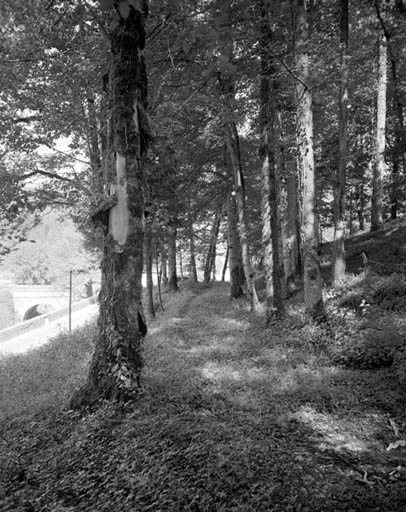 Grande allée ouest de l'ancien jardin d'agrément, vue du sud vers le nord.