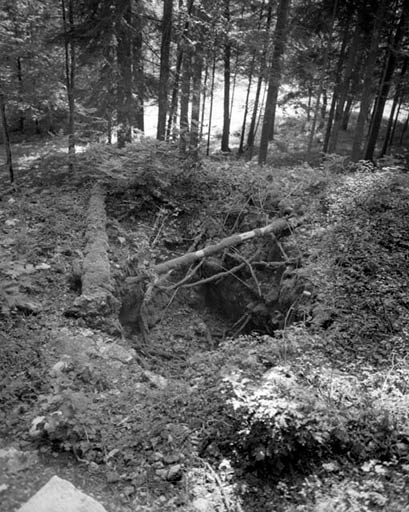 Vestige de la glacière de l'ancien jardin d'agrément.