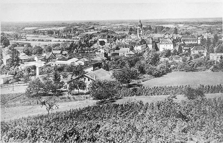 Saint-Amour (Jura) - Vue générale.