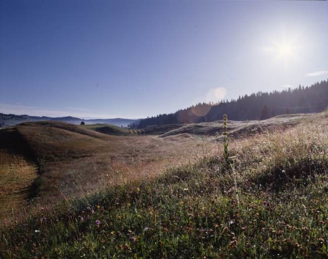 Paysage de combes.