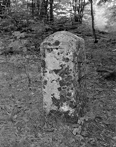 Armes de Franche-Comté.