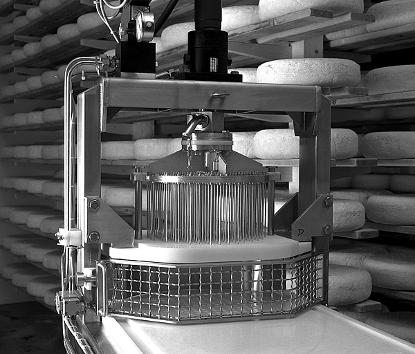 Détail de la machine à piquer les fromages.
