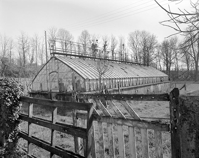 Vue d'ensemble de la serre.