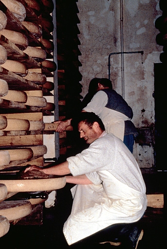 Salage et retournement manuel des meules de comté.