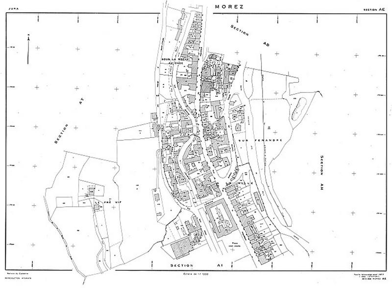 Morez. Section AE [plan cadastral], 1980.