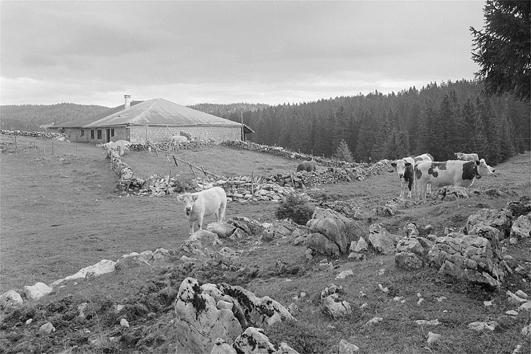 Ferme dite le Grand Chalet (chalet d'estive)