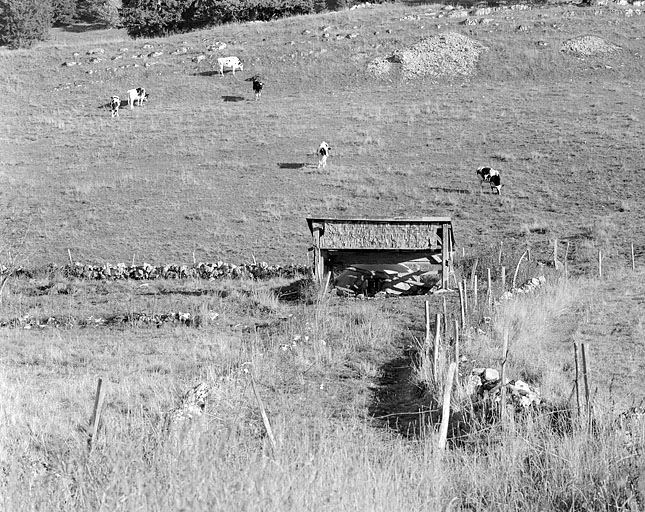 Abreuvoir à Petite Joux.