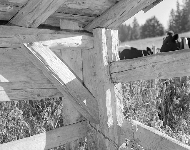 Assemblage de la charpente de l'abreuvoir.