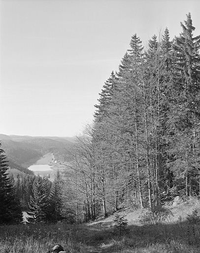Vue du lac de Lamoura.