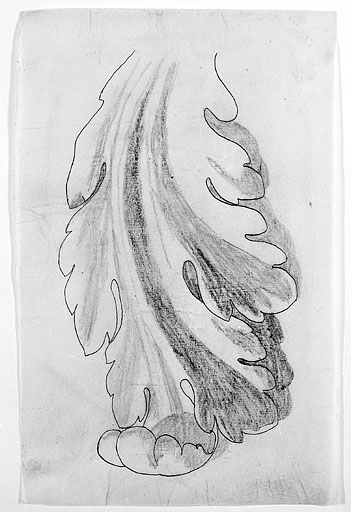 Modèle d'ornement végétal.