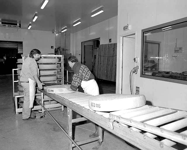 Quai de réception : déchargement des meules de comté.