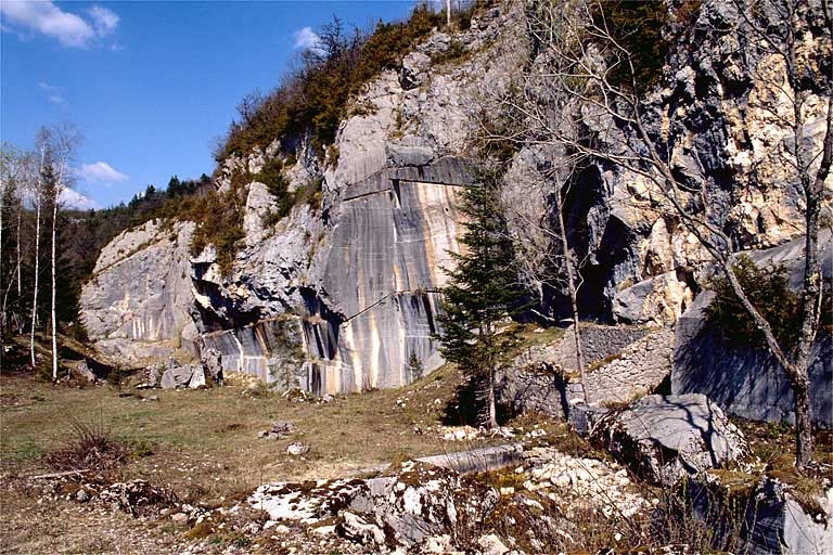 Carrière de Champied, à Pratz : vue d'ensemble depuis le sud.