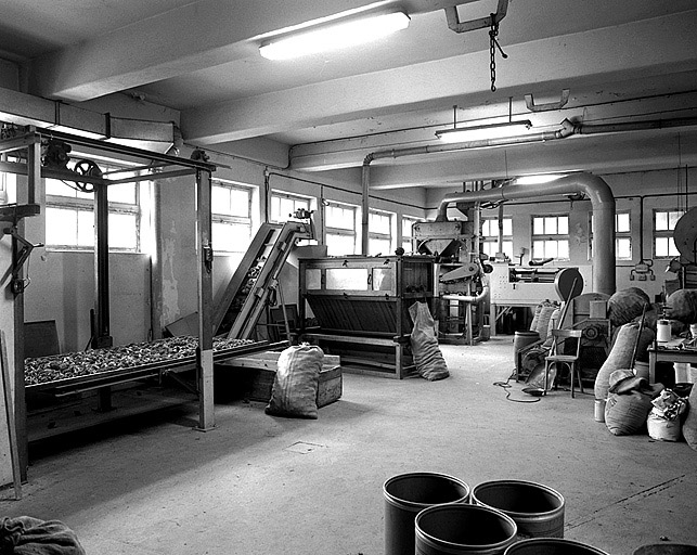 Ensemble de la ligne d'extraction et de traitement des graines de résineux (sécherie résineuse)