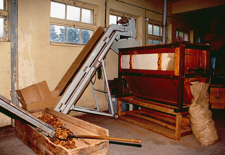 Machine à égrener : extracteur dit trommel (ligne d'extraction et de traitement des graines de résineux)