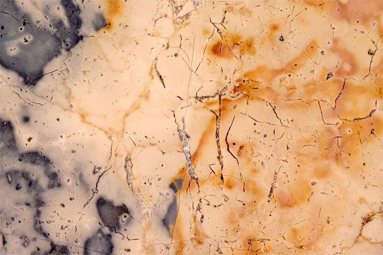 Echantillon de marbre de Crans. Musée d'Archéologie, Lons-le-Saunier.