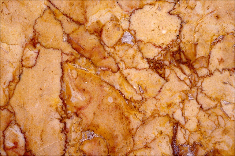Echantillon de brocatelle jaune (Chassal). Musée d'Archéologie, Lons-le-Saunier.