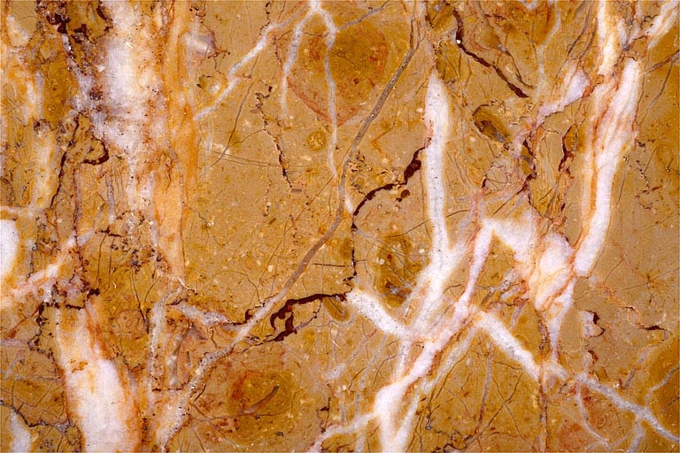 Echantillon de marbre de Pimorin. Musée d'Archéologie, Lons-le-Saunier.
