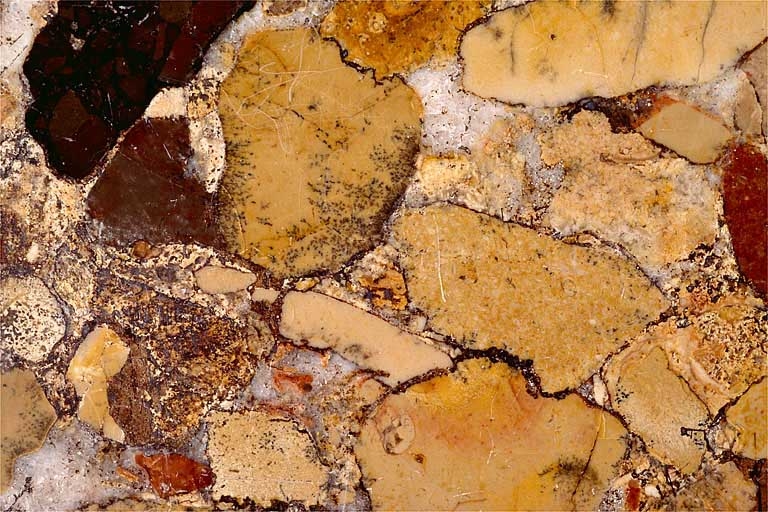 Echantillon de marbre (brèche) de la Maladière, à Saint-Amour. Musée d'Archéologie, Lons-le-Saunier.
