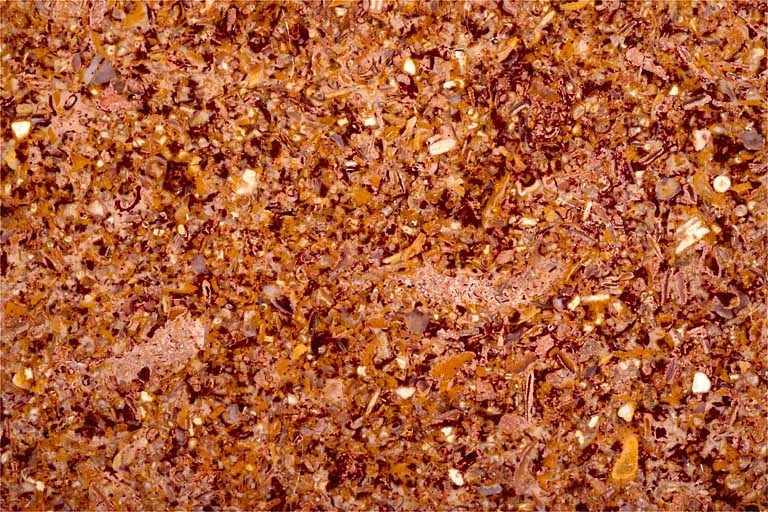 Echantillon de marbre de Chanelet (Gizia). Musée d'Archéologie, Lons-le-Saunier.