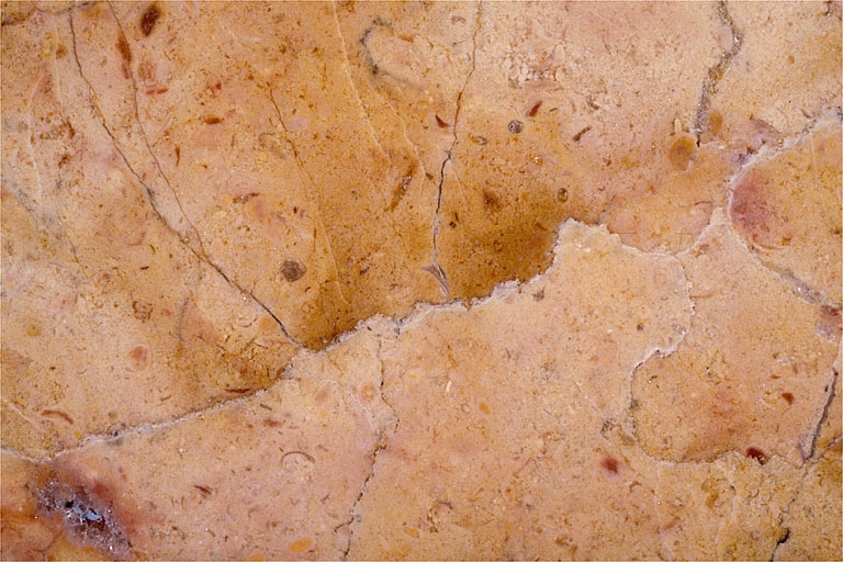 Echantillon de marbre de Chassal (carrière de Marignat). Collection Robert Le Pennec, Saint-Claude.