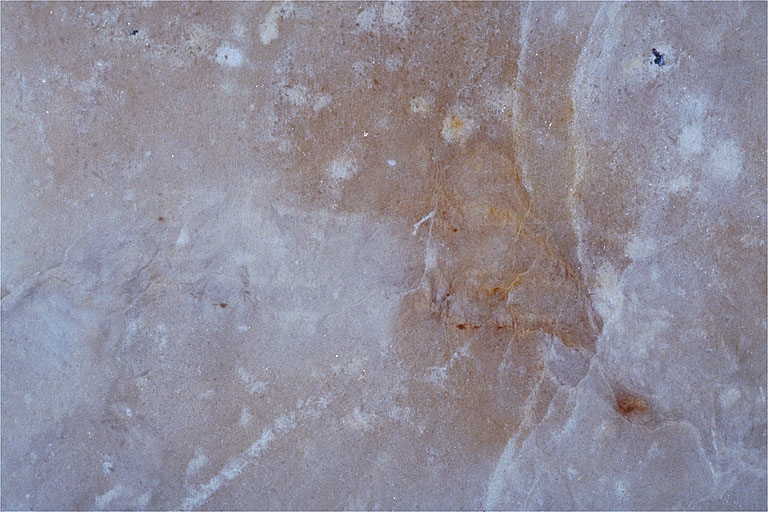 Echantillon d'albâtre de Saint-Lothain. Musée d'Archéologie, Lons-le-Saunier.