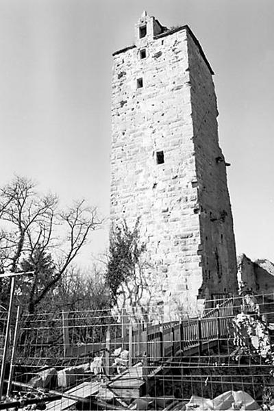 Château fort dit Château de Scey ou Château Saint-Denis