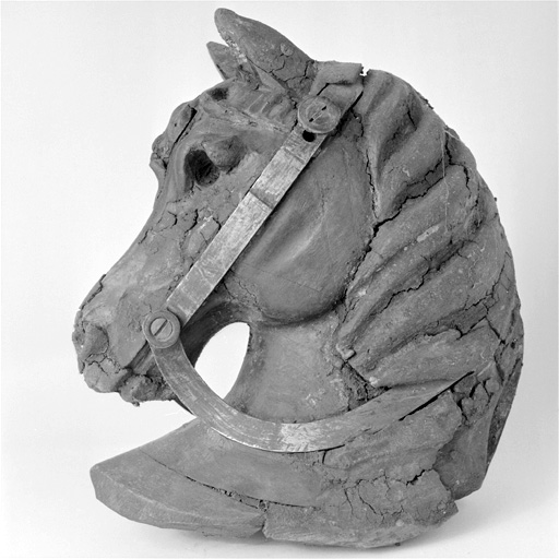 Tête de cheval.