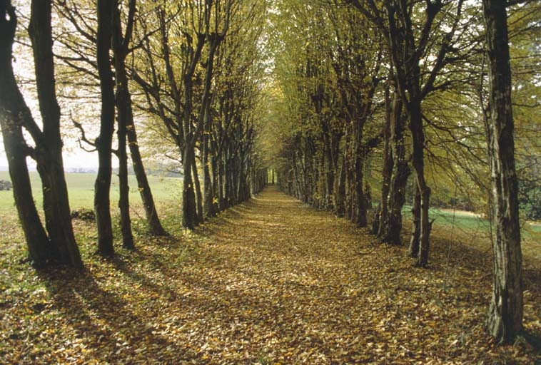 Allée couverte à l'ouest de la demeure.