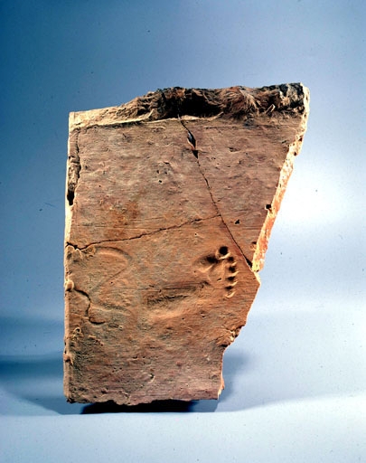 Fragment de tuile (tegula) avec empreinte de pied d’enfant (villa gallo-romaine, à Jonvelle).