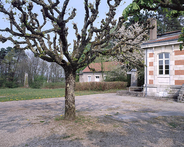 Partie nord : marronnier d'Inde près du pavillon de la méridienne.