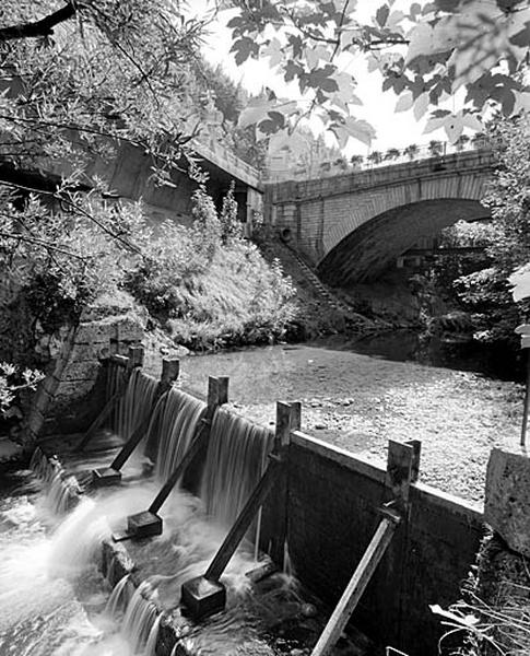 Barrage de l'ancienne usine de l'Abbaye (23 à 31 rue Emile Zola), en aval du pont des Douanes.