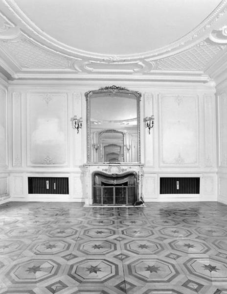 Grand salon : cheminée.