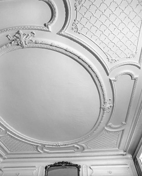 Grand salon : plafond.