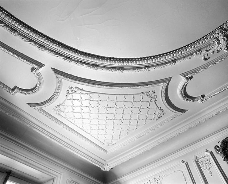 Grand salon : décor du plafond dans un angle.