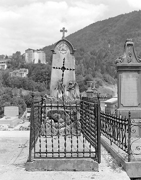 Vue d'ensemble, de face : grille de clôture.
