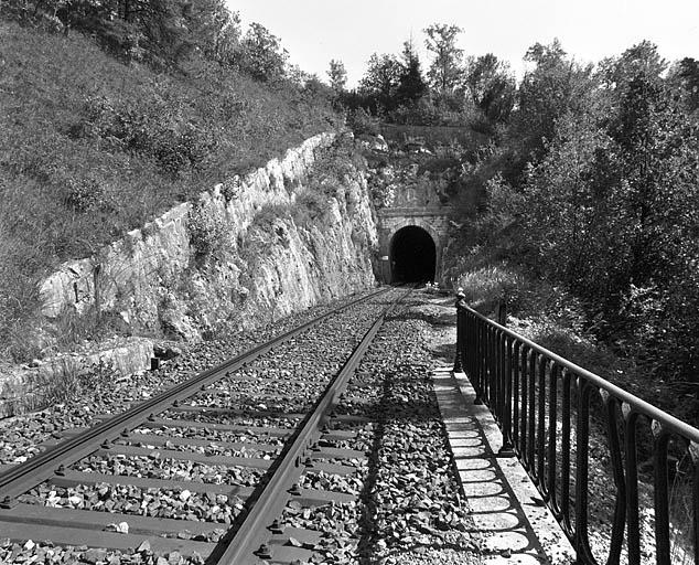 Tunnel d'Arbent 1 : vue d'ensemble de la tête côté Andelot-en-Montagne (nord-ouest).