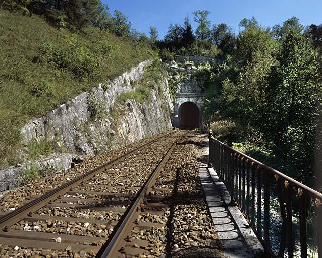 Tunnel d'Arbent 1 : vue d'ensemble de la tête côté Andelot-en-Montagne (nord-ouest).