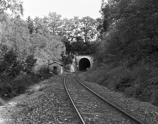 Tunnel d'Arbent 2 : vue d'ensemble de la tête côté Andelot-en-Montagne (ouest).