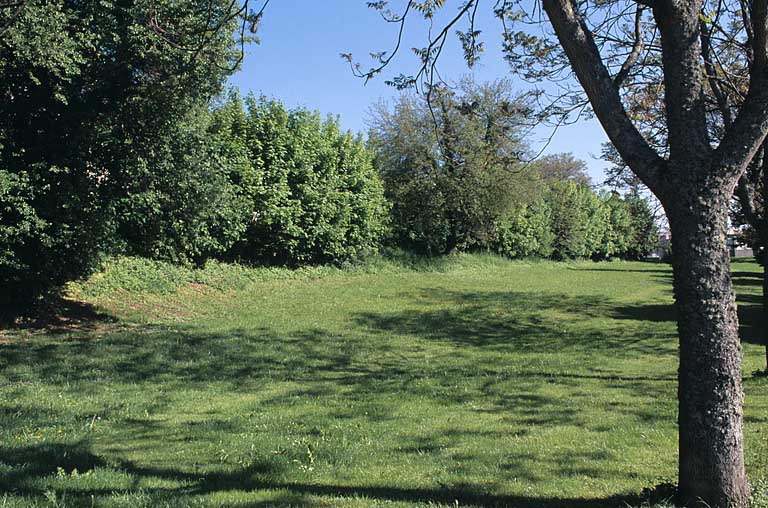 Partie nord : haie du côté est, vue depuis l'avenue de l'Observatoire.